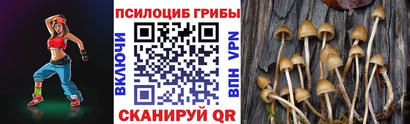 Купить Острогожск Галлюциногенные грибы Psilocybe