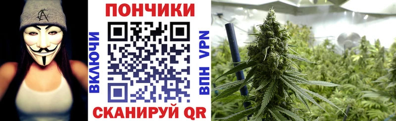 Каннабис Bruce Banner  Купить где  Острогожск 